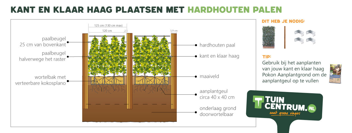 Kant en klaar hagen plaatsen met houten palen