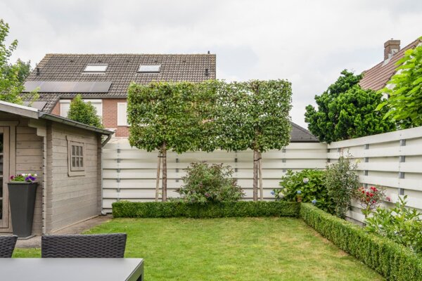 Tuinafscheiding met een leihaagbeuk