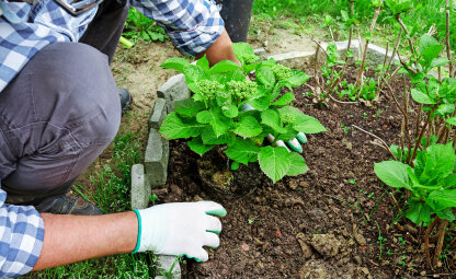 6 tips voor de beginnende tuinierder