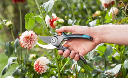 Onmisbaar tuingereedschap voor het onderhouden van je tuin