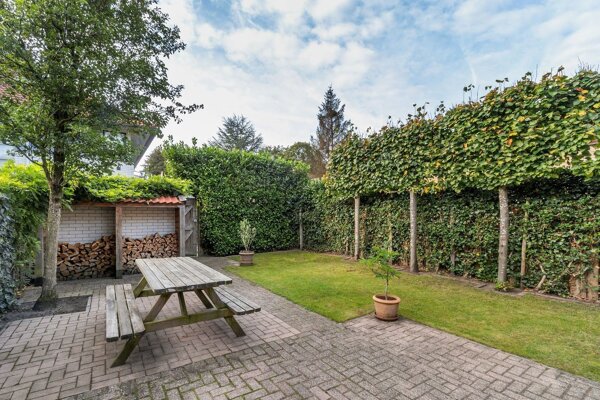 Achtertuin met een leilinde