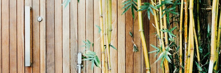 Bamboe in de schaduw bij een poortdeur