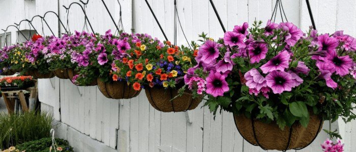 Hanging baskets met bloemen