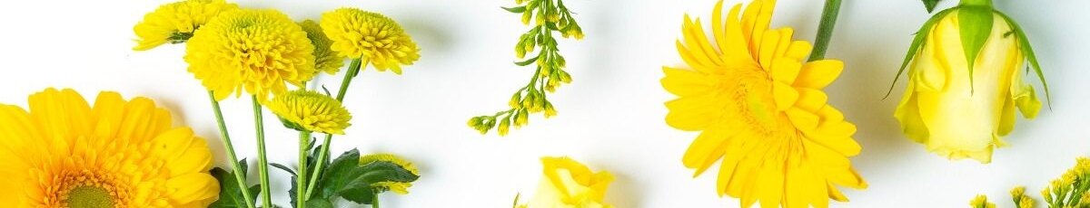 Brievenbusbloemen geel