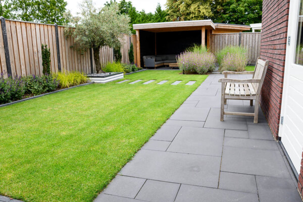 Achtertuin met gazon, borderbeplanting, schutting en olijfboom