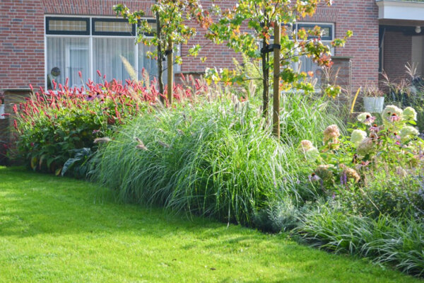 Voortuin met planten vakken en gazon