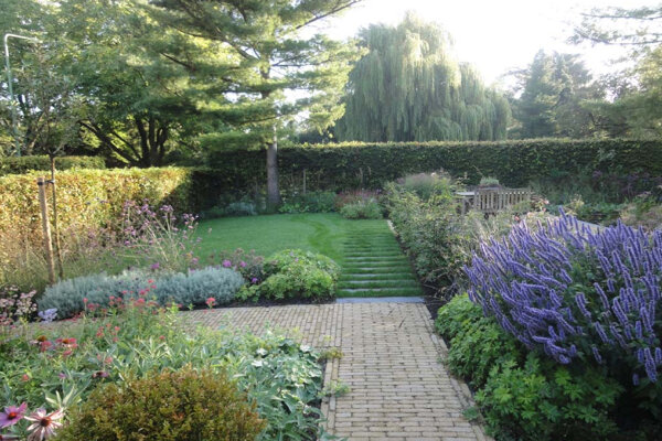 Achtertuin gazon voorbeeld pinus en salvia nemorosa