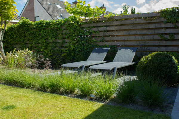 Achtertuin met gazon, siergras, klimop en buxusbol