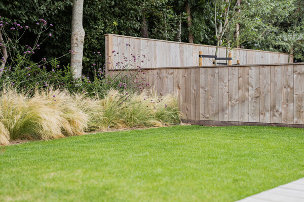 Gazon met ijzerhard, stipa en ijzerhard