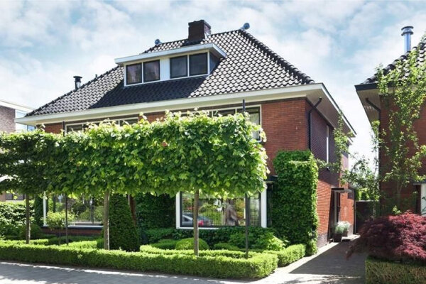 Voortuin met planten vakken en vijgenboom