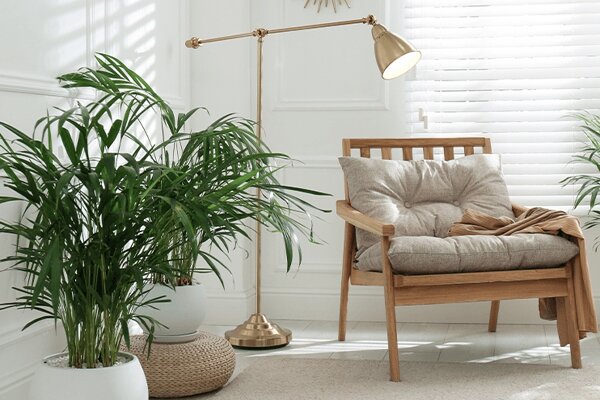 Woonkamer met zitstoel en kentiapalm