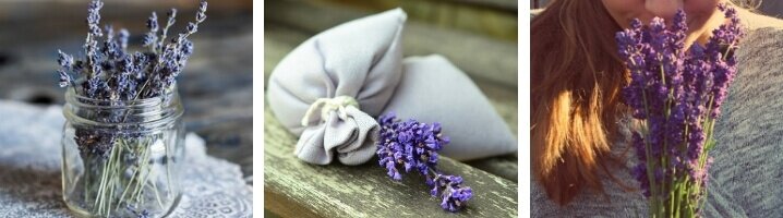 Lavendel gebruiken voor een heerlijke geur