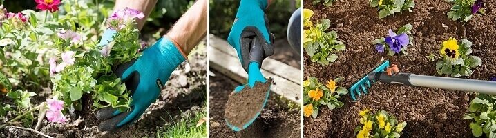 Gebruik bij het planten en verplanten in ieder geval handschoenen en een schep en hark