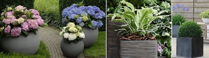 Plantenbakken voor buiten met hortensia, hosta en buxus