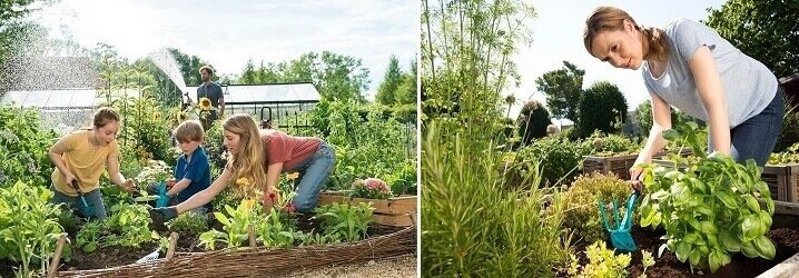 Doe je jaarlijkse tuinonderhoud met bijpassend tuingereedschap