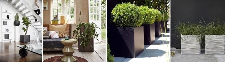 Creëer een stoere en moderne stijl met vierkante plantenbakken