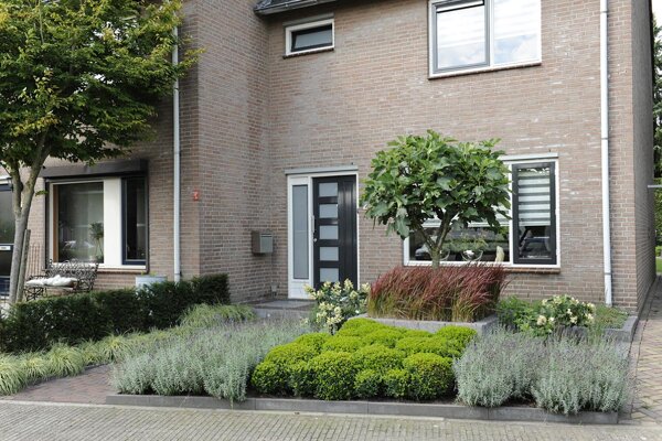 Voortuin met planten vakken en vijgenboom
