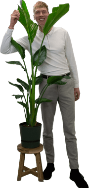 Strelitiza Nicolai met Wouter