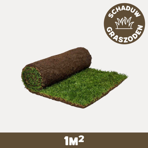 Vierkante meter graszoden Schaduw