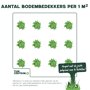 Aantal bodembedekkers per m2