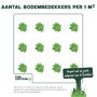 Aantal bodembedekkers per m2
