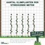 Aantal klimplanten per strekkende meter