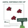 Aantal planten per m2