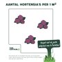 Aantal planten per m2