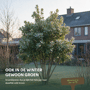 Aardbeienboom meerstammig