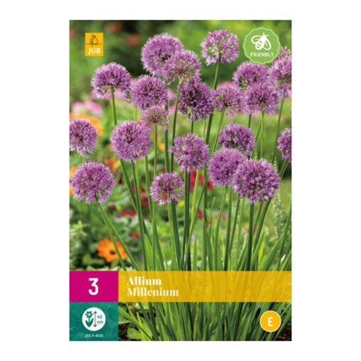 Uienbollen Millenium (XXL zak 3 stuks)