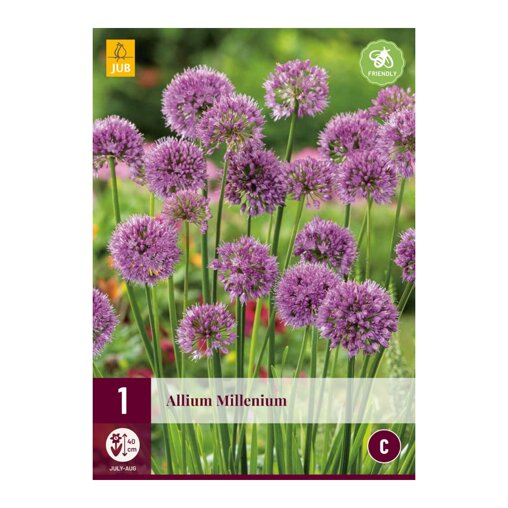 Uienbol Millenium (zak van 1 stuk)