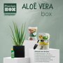 Aloë vera box
