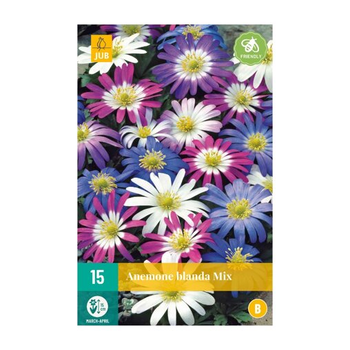 Anemone bollen Blanda Mix (zakje van 15 stuks)