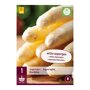 Witte asperges (zak van 1 stuk)