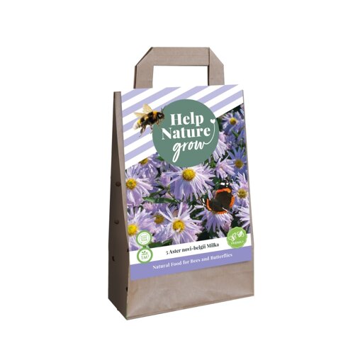 Bloembollen tas Asters (voor 1 m2)