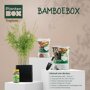 Bamboebox
