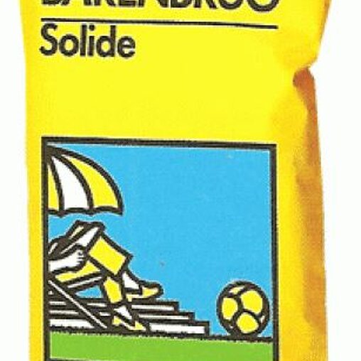 Barenbrug Solide