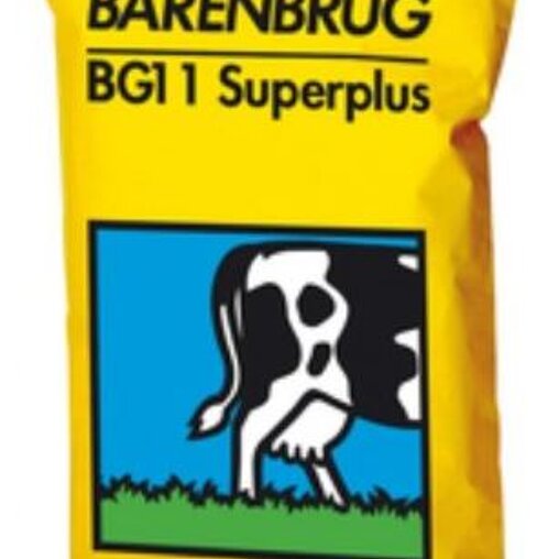 Barenbrug Weidemengsel BG11 SUPER