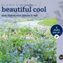 Borderpakket Beautiful Cool