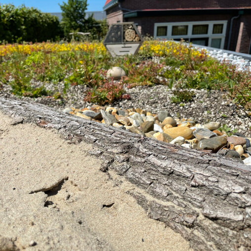 Beezzz 'n Bio sedum daktuinpakket