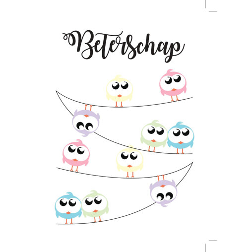 Kaartje 'Beterschap Vogeltjes'