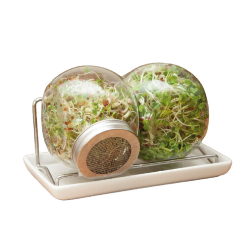 Buzzy ® Bio glazen potten kiemgroente set