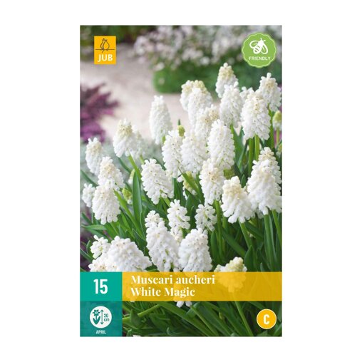 Blauwe druifjes bollen White Magic (zakje van 15 stuks)