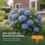 Sfeerbeelden