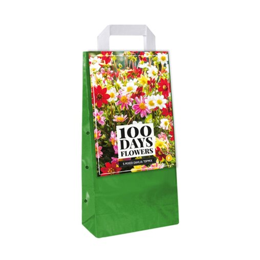 Bloembollen tas Dahlia Topmix (5 stuks)