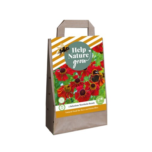 Bloembollen tas Zonnekruid (voor 1 m2)