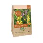 Bloembollen tas Blooming Summer Suze (voor 1 m2)