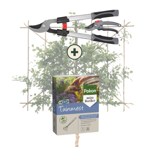 Bomen onderhoudspakket