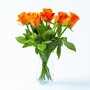 Brievenbus Rozen oranje vaas