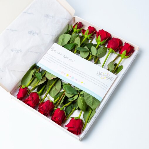 Brievenbus Rozen rood (10 stuks)